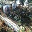 Героним  Станкевич