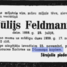 Jūlijs Feldmanis