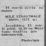 Mīle Strautmale
