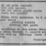 Anjūle Amere