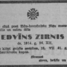 Edvīns Zirnis