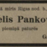 Miķelis Pankovskis