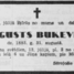 Augusts Bukevics