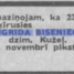 Ingrīda Biseniece