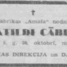 Matilde Cābelis
