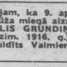 Vilis Grundiņš