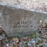 Ainis Renga