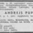 Andrejs Pupiņš