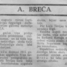 Anete Breča