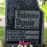 Antoņina Vipule