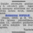 Antoņina Vipule