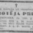 Doroteja Priede