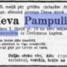 Ieva Pampule