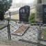 Janīna Jažauska