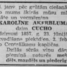 Karolīne Akerblūma