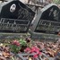 Сергей  Горшечников