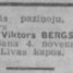 Viktors Bergs