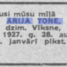 Ārija Tone