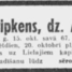 Ella Nipkens