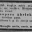 Kaspars Abrickis