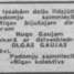 Olga Gauja