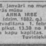 Anna Irbe