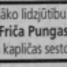 Fricis Punga