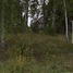 Riebiņu pagasts, Petrausku kapi