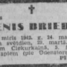 Tenis Briedis