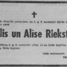 Vilis Riekstiņš