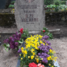 Ilze Kalnāre
