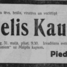 Miķelis Kaulēns