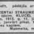 Zenta Straume