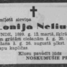 Lonija Nelius