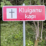 Viesatu pagasts, Kluiganu kapi
