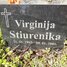 Virginija Stiurenika
