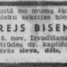 Andrejs Bisenieks