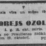 Andrejs  Ozoliņš