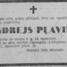 Andrejs Pļaviņš