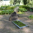 Māra Graustiņa
